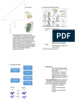 Bentuk Dan Karakter Sifat Mikroorganisme