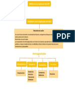 Aminoglucósidos: Inhibidores de La Duplicación Del ADN