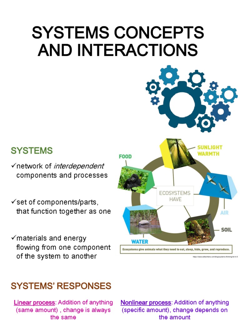Sytem Concepts and Interaction | PDF | Food Web | Feedback