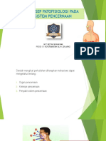 Pertemuan 12. Konsep Patofisiologi Pada Sistem Pencernaan