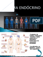 Sistema Endocrino 1