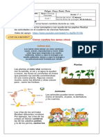 8 FEB 1Guia Ciencias Naturales 1 perido