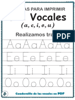 Mis Vocales Trazos MEPD