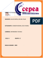 Atencion Integral de Salud Deily Cepea