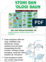 Fakultas Kehutanan, Institut Pertanian INTAN Yogyakarta