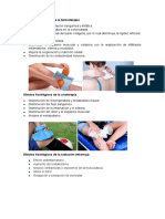 Efectos Fisiológicos de La Termoterapia