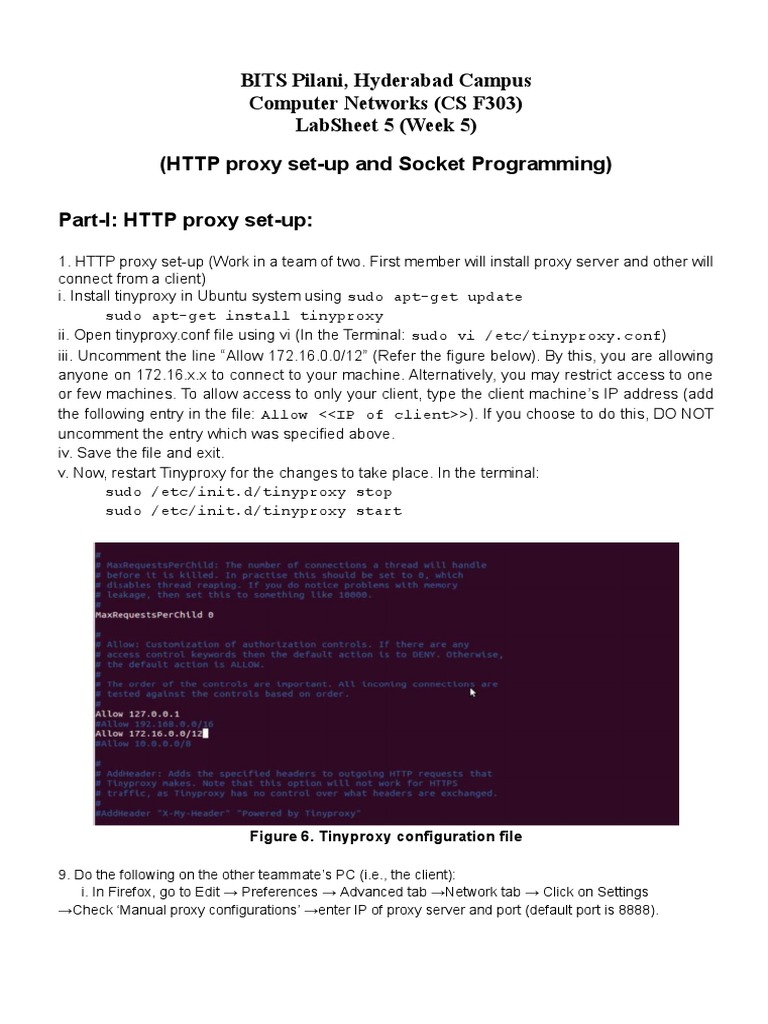 Tinyproxy Setup Guide for Windows | PDF | Proxy Server | Port (Computer ...
