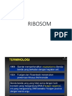 ribosom