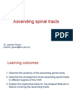 Ascending Spinal Tracts: Dr. Joachim Perera Joachim - Perera@imu - Edu.my