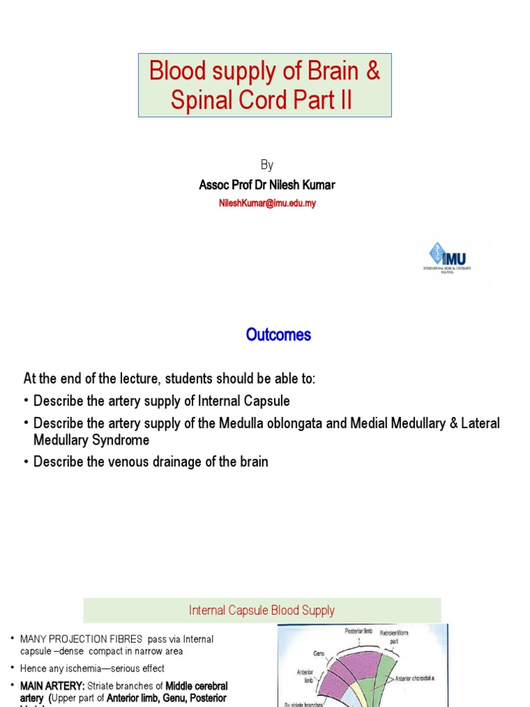Blood Supply of Brain Spinal Cord Part Part II | PDF | Spinal Cord ...