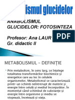 Metabolismul_Glucidelor-Anabolismul