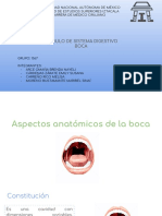 Boca - PDF Versión 1