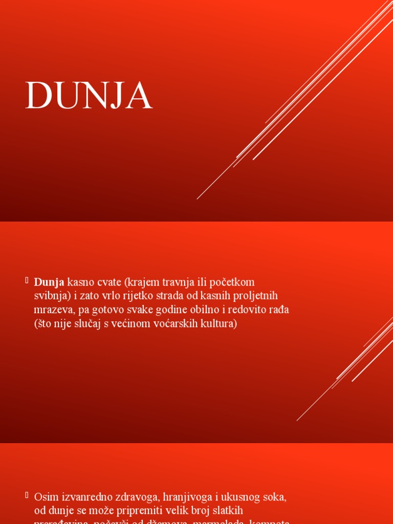 DUNJA | PDF