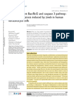 zineb in human keratinocyte cells