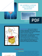 Glandele Anexe Ale Tubului Digestiv