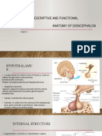 Descriptive and functional anatomy of diencephalon part 2