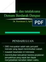 Demam Berdarah Dengue Final 17 April 2017