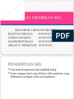 PPT SEL DAN MEMBRAN SEL