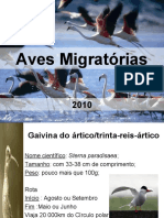 aves migratórias