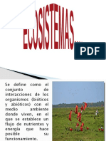 Biomas - Ecosistemas