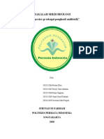 Makalah Mikrobiologi Actinomycetes Penghasil Antibiotik