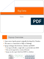 Big Data: Sqoop