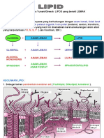 Bio Lipid