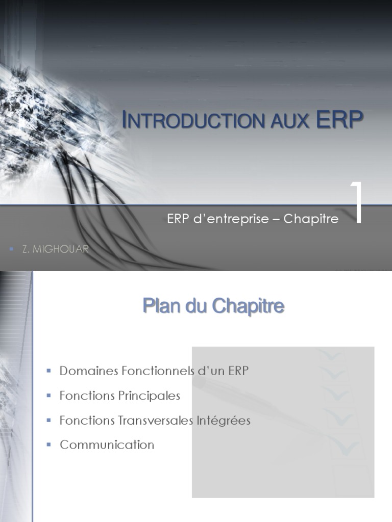 Introduction aux ERP et systèmes d'information | PDF | Progiciel de ...