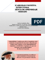 Modificabilidad Cognitiva