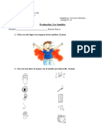 Evaluación Los sentidosPrimero Básico 