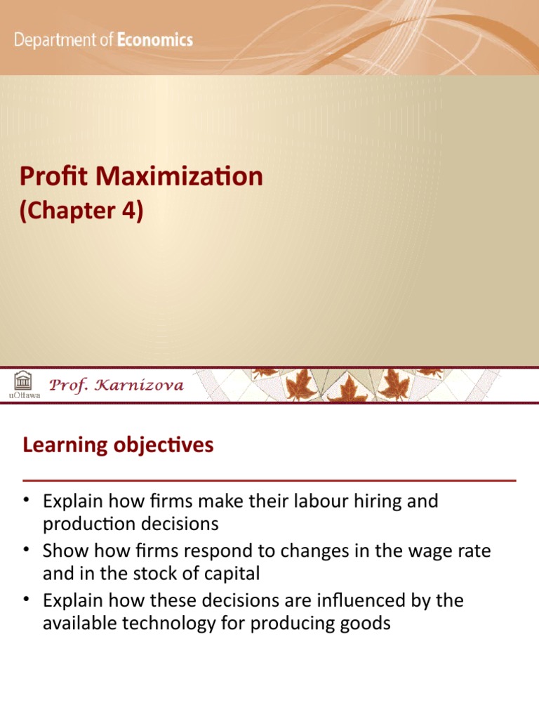 Profit Maximization in Firms | PDF | Production Function | Labour Economics