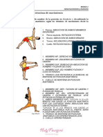 RESUELTO DEL Ej. de ANATOMIA NF - Clase 2