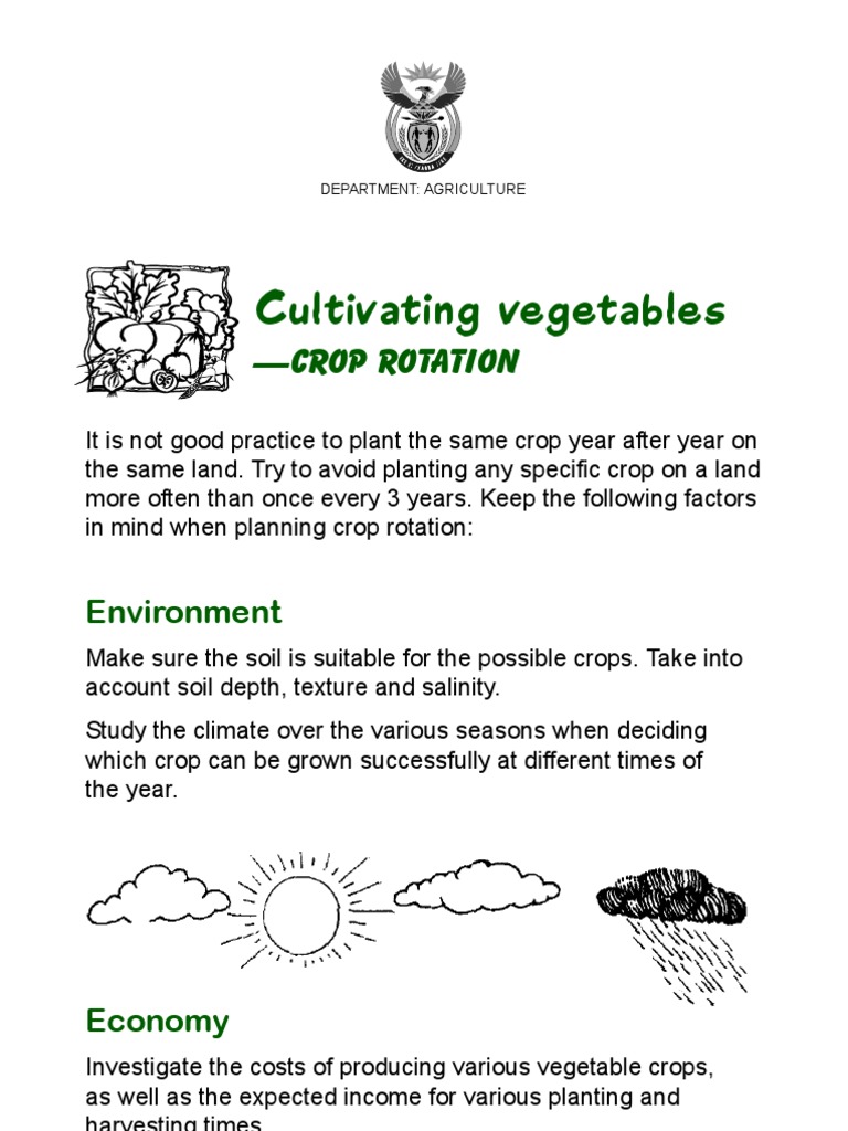 Effective Crop Rotation for Vegetables | PDF | Crop Rotation | Vegetables