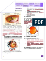 Cir3-Oft-01-23-02-Embriología, Anatomía y Fisiología.