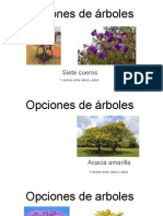 Copia de Opciones de arboles para jardin
.pptx