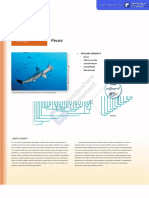 Capitulo 24.3 y 24.5 Peces Hickman