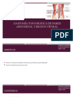 Anatomía Topográfica de Pared Abdominal y Región Crural