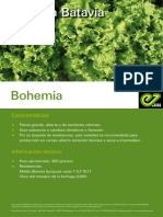 Brochure Bohemia