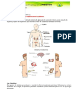 Ciencias Naturales 8vo Grado3er Lapso