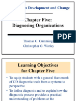 Organizational Diagnosis Models