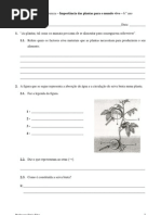 Importância das plantas para o mundo vivo - Ficha de CN - 6.º ano