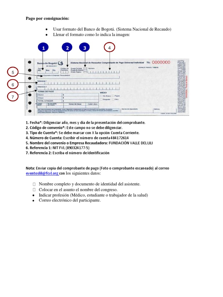 Instrucciones para Pago por Consignación | PDF | Finanzas y dinero