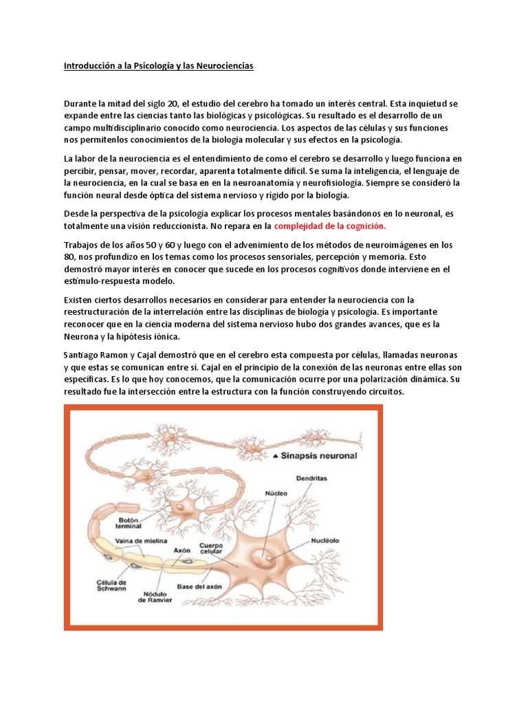 Introducción a Psicología y Neurociencias | PDF | Neurociencia | Cerebro