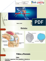 Rodilla y Pierna Seminario de Traumatologia (Autoguardado)