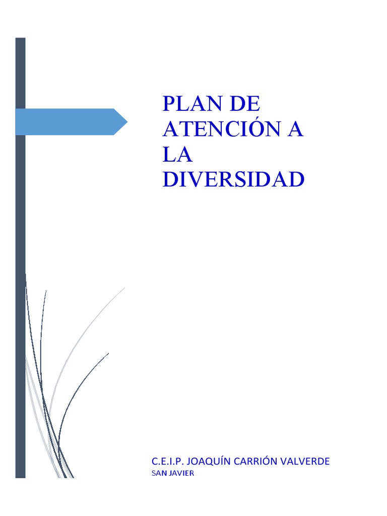 Plan de Atención A La Diversidad | PDF | Evaluación | Plan de estudios