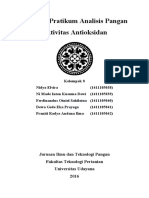 Laporan Pratikum Analisis Pangan Aktivitas Antioksidan