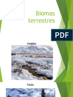 Biomas Terrestres