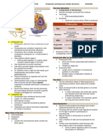 Cell Structures: Prokaryotic vs. Eukaryotic