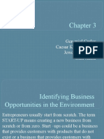 Identifying Business Opportunities and Organizing Functions