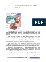 Choledocholithiasis dan Faktor Risikonya